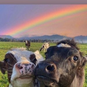 Meet your Posher, Gabriel